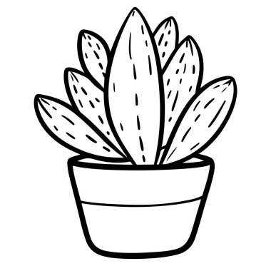 Doğa temalı tasarımlar için mükemmel olan sulu bir çömleğin ayrıntılı elle çizilmiş bir çizimi. Bu minimalist sanat eseri her projeye cazibe ve zarafet katar..