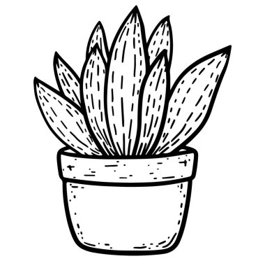 Süslü bir saksının içindeki sulu bir bitkinin büyüleyici el yapımı bir çizimi. Doğa meraklıları, bahçıvan aşıkları ve minimalist dekor hayranları için ideal..