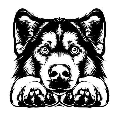 Bu çarpıcı siyah beyaz illüstrasyon, karmaşık detaylar ve anlamlı özellikleri olan bir köpeğin yüzünü gösteriyor..