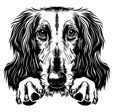 Bu sanatsal siyah-beyaz resimde bir köpeğin ifade edici yüzü ve tüylü kulakları sergileniyor. Hayvanlar ve dekorasyon meraklıları için mükemmel..