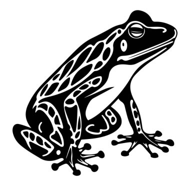 Bir kurbağanın bu zarif siyah-beyaz çizimi karmaşık desenler ve sakin çizgiler sergiliyor, doğa ve vahşi yaşam sanat projeleri için mükemmel..