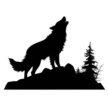 Görkemli Kurt Uluyan Silueti Çam Ağaçları ve Kayalıklarla