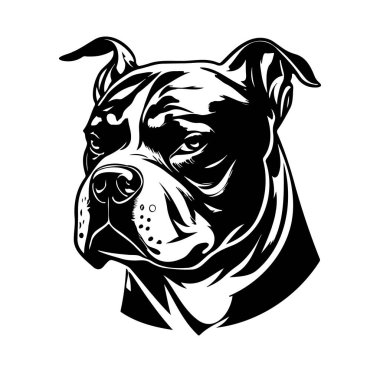 Bir Pitbull Köpek Başı 'nın Ayrıntılı Siyah ve Beyaz Fotoğrafı