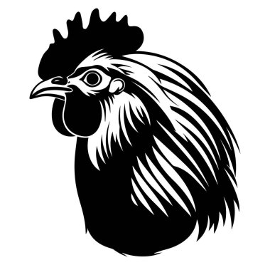 Ayrıntılı Özellikleri Olan Bir Horoz Başı Siyah ve Beyaz Görünümü