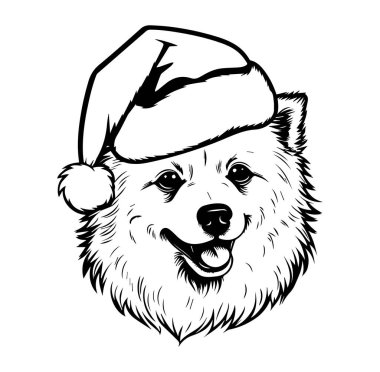 Tatil sezonunda Noel Baba Şapkası Giyen Neşeli Köpek