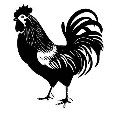 Ayrıntılı Tüyleri ve Kuyruğu olan Ayakta Duran Horozun Silueti