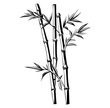 Minimalist Stil Sanatında Yapraklarla Zarif Bambu Sapıkları