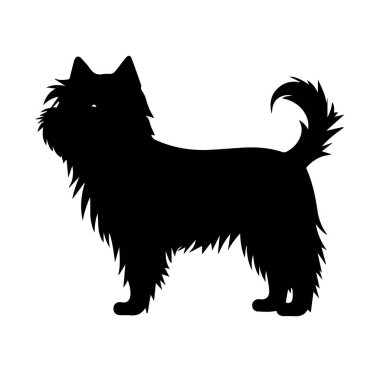 Yumuşak Kürklü ve Kuyruklu Neşeli Köpeğin Şık Silueti