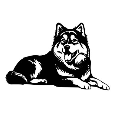 Poz Veren Rahat Bir Köpeğin Ayrıntılı Siyah-Beyaz Görünümü