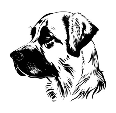 Siyah ve Beyaz Sanat Tarzında Bir Köpeğin Başının Ayrıntılı Resimleri