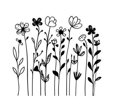 Elle çizilmiş çeşitli kır çiçeklerinin Siyah ve Beyaz olarak tasvir edilmesi