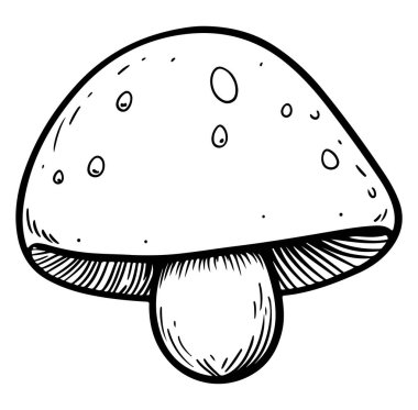 Ayrıntılı Kap ve Köklü Basit Bir Mantarın El Çizimi