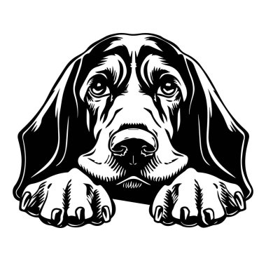 Sarkık Kulaklı Üzgün Köpek Yüzü 'nün Detaylı Siyah ve Beyaz Çizimi