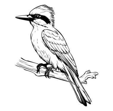 Dalına tünemiş bir kuşun detaylı siyah ve beyaz çizimi