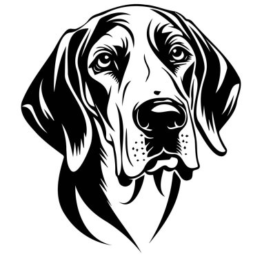 Ayrıntılı Özellikleri Olan Bir Köpek Başı Siyah ve Beyaz Görünümü