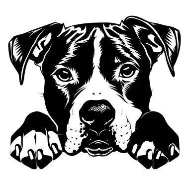 İfade Eden Gözleri ve Kulakları olan Bir Köpeğin Siyah ve Beyaz Çizimi