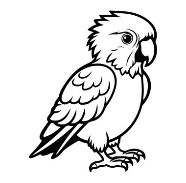 Renk Sayfaları için Çizgi Film Biçimi Papağanının Ayrıntılı Taslak