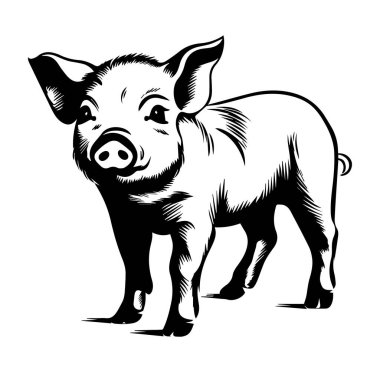 Çiftlik Teması İçin Siyah-Beyaz Sevimli Piglet İllüstrasyonu