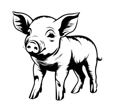 Siyah ve Beyaz Çizgi Filmlerle Sevimli Genç Domuzcuk