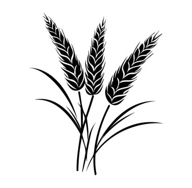 Buğday Takipçilerinin ve Çimenlerin Zarif Siyah ve Beyaz Fotoğrafı