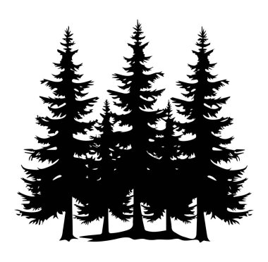 Grafik Tasarımı İçin Beyaz Arkaplanda Uzun Çam Ağaçlarının Silueti