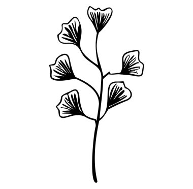 Narin Botanik Şube Tasarımının Zarif El Çizimi Çizimi