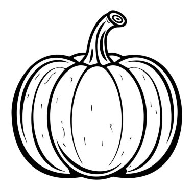 Kıvrık Köklü Bir Balkabağının Siyah ve Beyaz Çizgisi