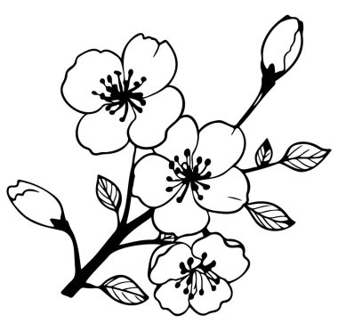 Çiçek ve Yapraklı Zarif Siyah ve Beyaz Çiçek Tasarımı