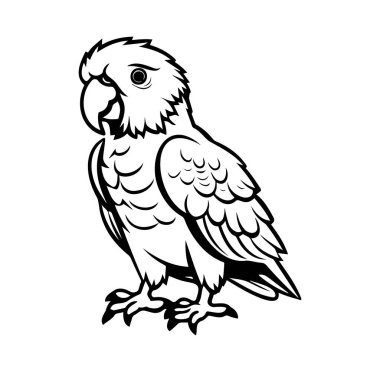 Görkemli Bir Papağanın Siyah ve Beyaz Çizimi