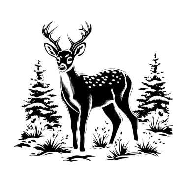 Ormandaki Çam Ağaçlarının Ortasında Zarif Geyik Silueti