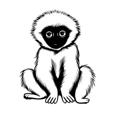 Siyah ve Beyaz Meraklı Bir Gibbon Maymunu Fotoğrafı