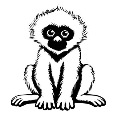 Siyah ve Beyaz Oturan Şirin Gibbon Maymunu