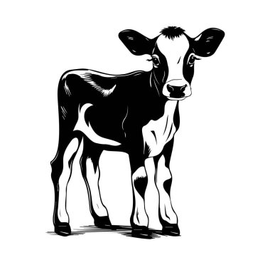 Black and White Artistic Illulation of a calf Standing Alone