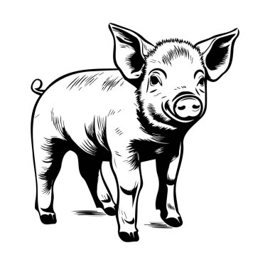 Klasik Siyah ve Beyaz Çizgi Roman Tarzı Sevimli Domuz