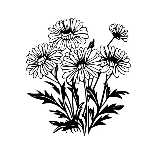 Papatya ve Yapraklı Zarif Siyah ve Beyaz Çiçek Tasarımı