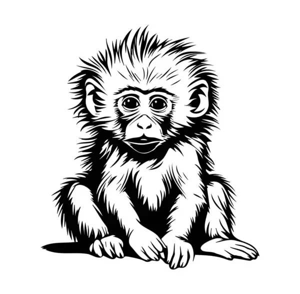 Oturan Şirin Bebek Maymunu 'nun Siyah ve Beyaz Çizimi