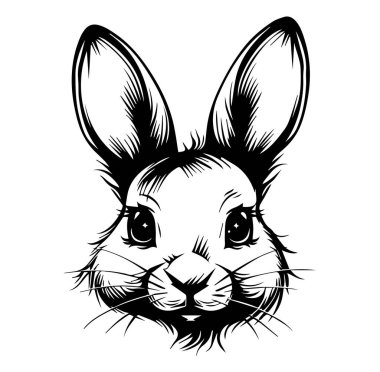 Bir Tavşan Yüzünün Detaylı Siyah ve Beyaz ResmiComment