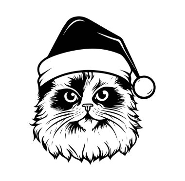 Tatil ve Noel Kutlamaları İçin Noel Şapkalı Kedi