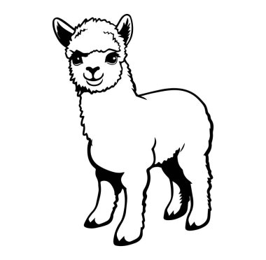 Siyah ve Beyaz Çizimde Şirin ve Oyuncu Bebek Alpaka