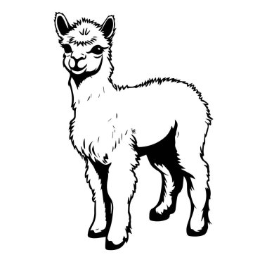 Yumuşak Kürklü ve Neşeli Yüzlü Şirin Çizgi Film Alpaka Çizimi