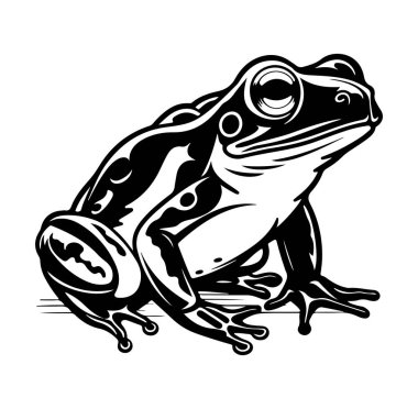 Gerçekçi Bir Kurbağanın Detaylı Siyah ve Beyaz Görünümü