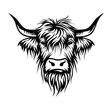 Ayrıntılı Kürklü ve Boynuzlu Highland İnek Başı İllüstrasyonu