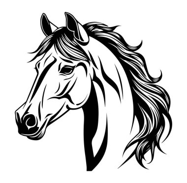 Ayrıntılı Değerli Zarif Siyah ve Beyaz At Profili