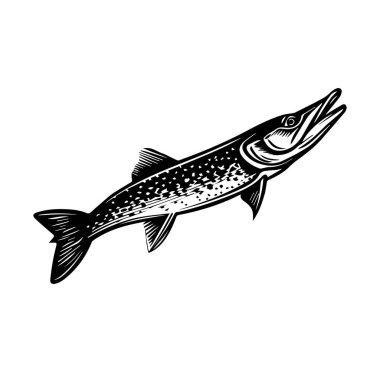 Siyah ve Beyaz Biçimli Bir Turna Balığının Ayrıntılı Resimleri