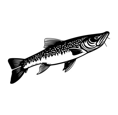 Kimlik Belirleme İçin Etiketlenmiş Bir Tatlı Su Balığının Ayrıntılı Resimleri