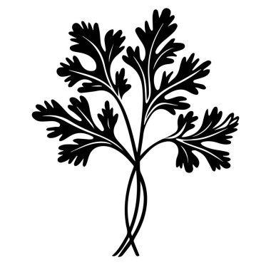 Narin Yapraklı Bitki Bitkisinin Karmaşık Siyah Silüeti