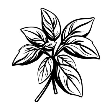 Karışık Damarları ve Şekilleri olan Tek Yaprağın Ayrıntıları