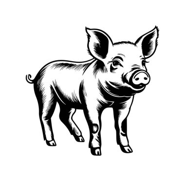 Tuhaf ifadeli neşeli bir domuzun büyüleyici bir tasviri.