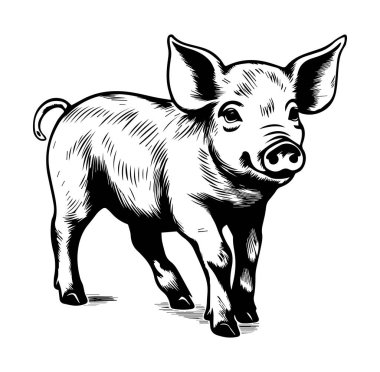 Tasarım Kullanımı için Siyah ve Beyaz Biçimli Oyuncu Domuz Çizimi
