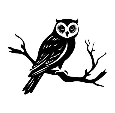 Siyah ve Beyaz Biçimli Baykuş Bir Dalda Oturuyor